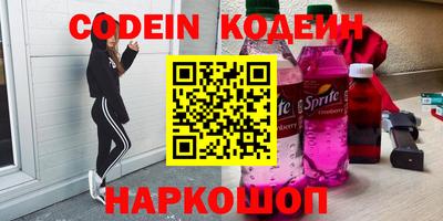 индика Гатчина