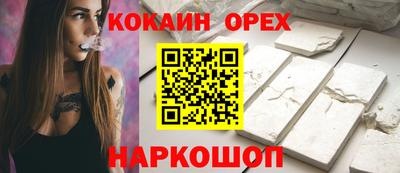 индика Гатчина