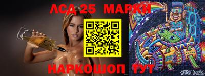 индика Гатчина