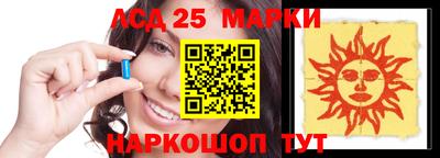 индика Гатчина