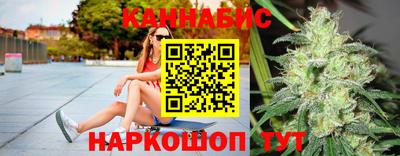 индика Гатчина