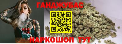 индика Гатчина