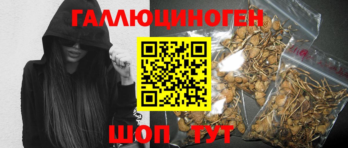 Псилоцибиновые грибы мухоморы  Вход с VPN  Касимов 