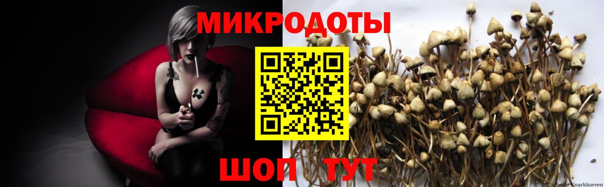 Псилоцибиновые грибы MAGIC MUSHROOMS Касимов