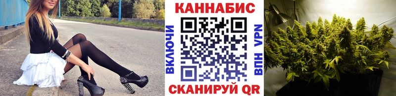 Шишки марихуана THC 21%  сколько стоит  Касимов 